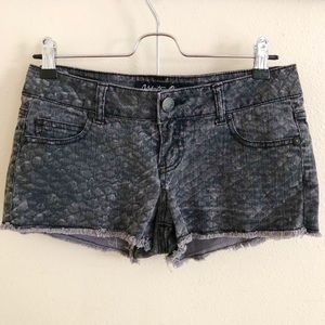 🪴3x$20 SALE Celebrity Pink Black Shorts